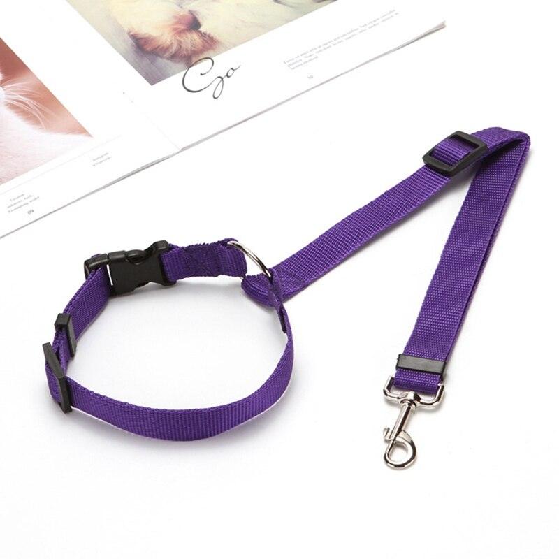 Petsafe Car Safety Leash: Secure And Adjustable Pet Restraint For Rear Seats